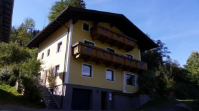 Ferienhaus Karin, Gries Im Pinzgau, Österreich